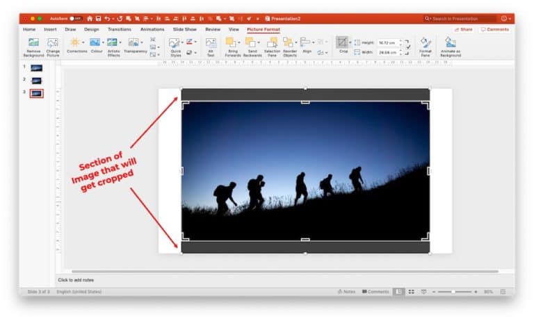 How to resize the image on PowerPoint